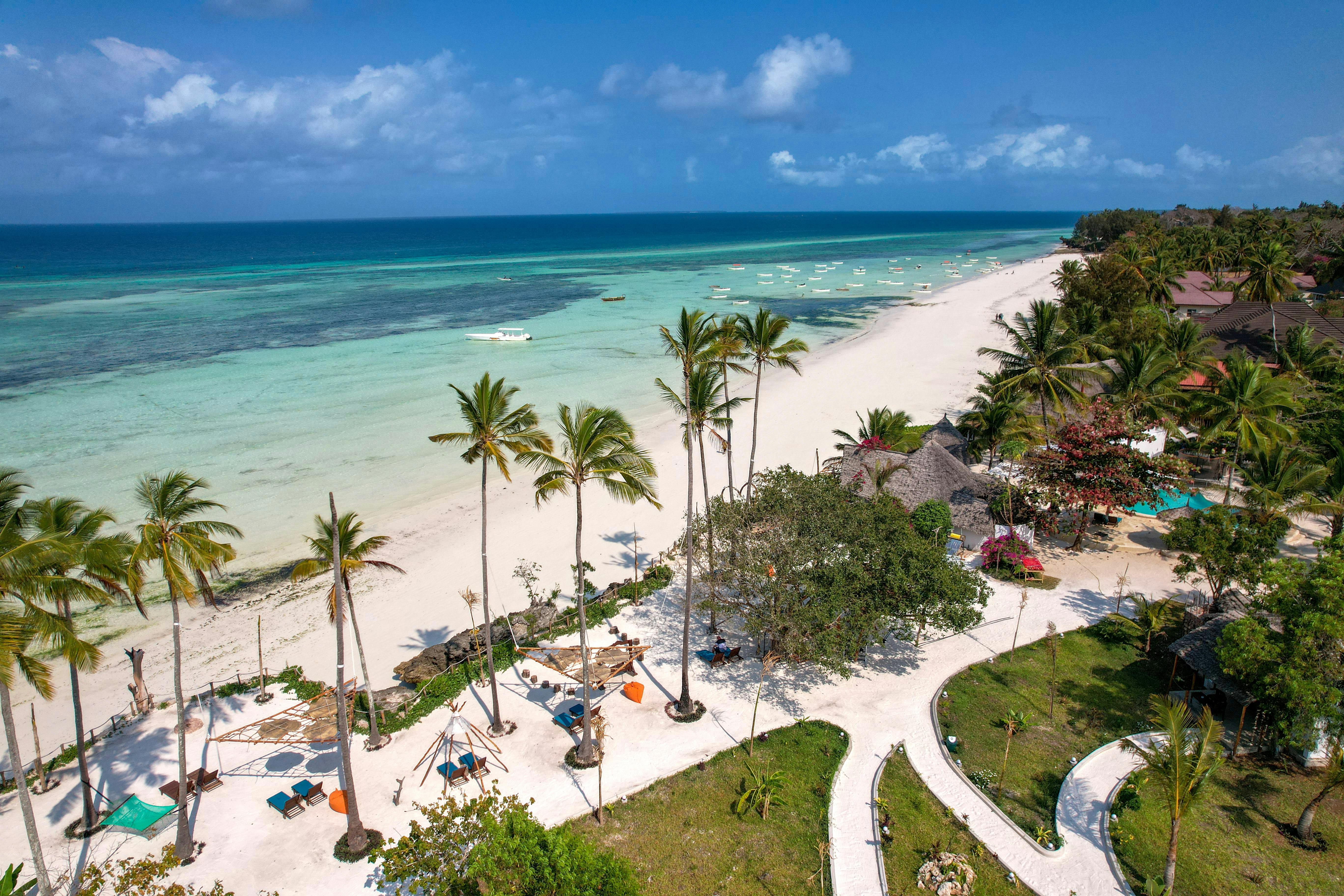 Aerial View of a Tropical Beach