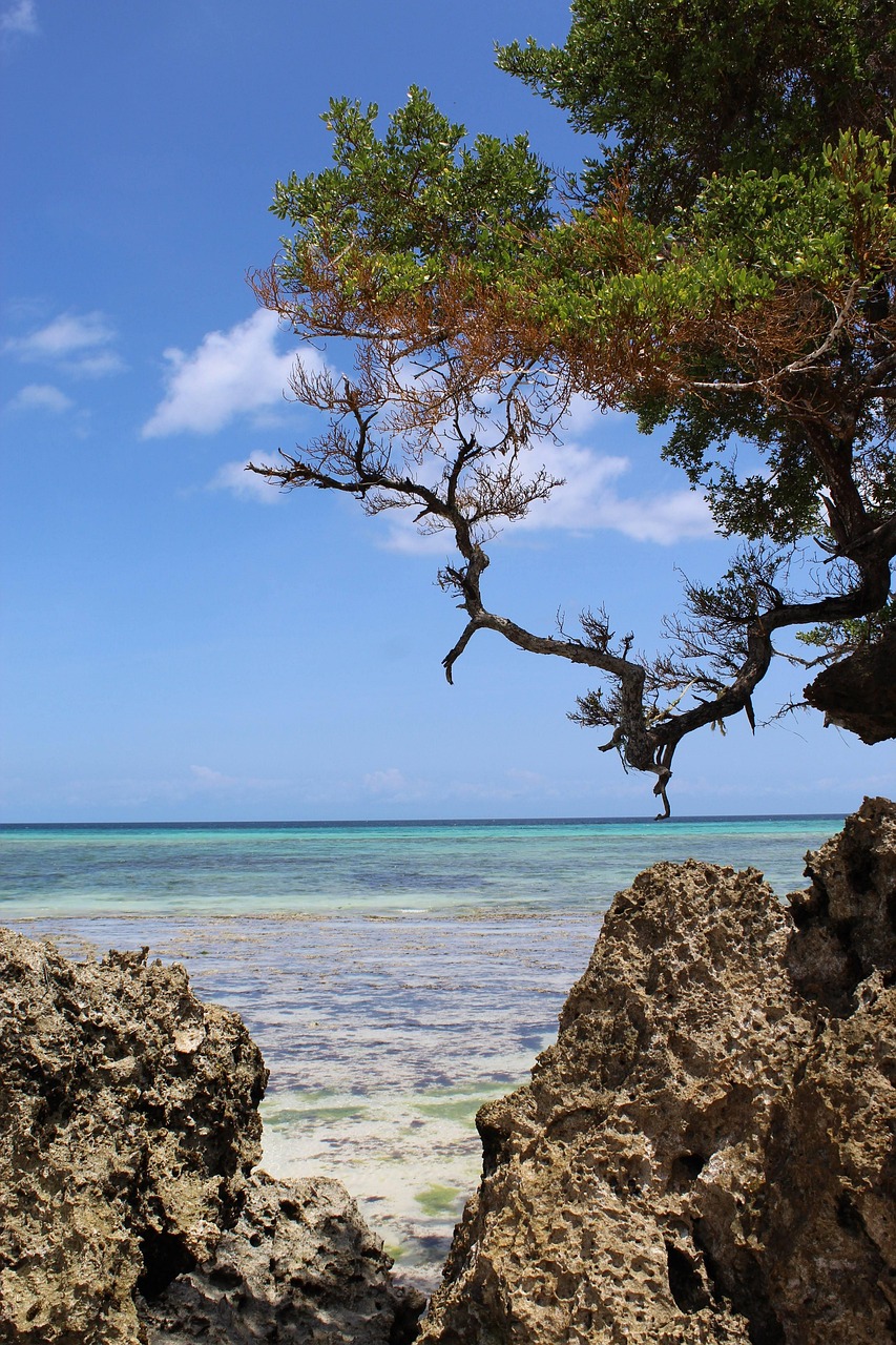 pemba island, holiday, vacation, sea, sun, water, ocean, trip, relax, tropical, it costs, nature, swimming, summer, sand, paradise, beach, pemba island, pemba island, pemba island, pemba island, pemba island